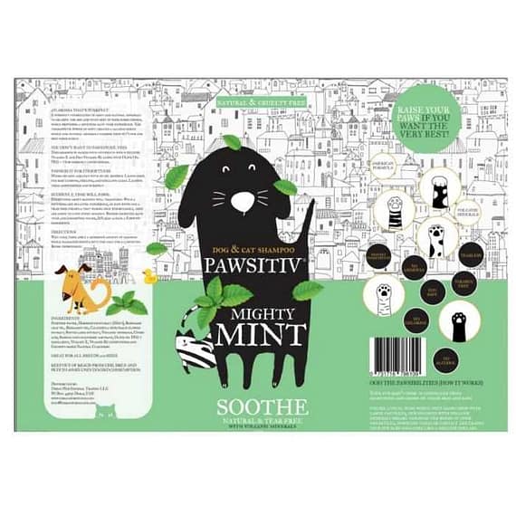 Pawsitiv Natural And Tearless Shampoo For Dogs & Cats – Mighty Mint – Healing Formula (Soothe) – Gallon Grooming Supplies "BAE" Charm Bracelet