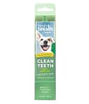 Tropiclean Fresh Breath No Brushing Clean Teeth Dental & Oral Care Gel For Dogs, 2oz Grooming Supplies "BAE" Charm Bracelet 3