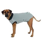 Trixie Protective Body Dog Wound Suit Grooming Supplies "BAE" Charm Bracelet 3
