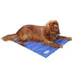 Scruffs Cool Dog Mat Medium Beds & Cushions "BAE" Charm Bracelet 3