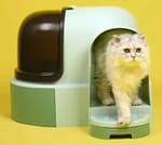 Pakeway Star Tunnel Cat Litter Box-53x60x43 Cm – Green Cat scratcher & Post "BAE" Charm Bracelet 4