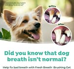 Tropiclean Fresh Breath Dental & Oral Care Brushing Gel For Dogs, 2oz Grooming Supplies "BAE" Charm Bracelet 6
