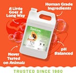 Tropi Clean Papaya & Coconut Luxury 2-in-1 Shampoo and Conditioner For Pets, 1 gallon Grooming Supplies "BAE" Charm Bracelet 6