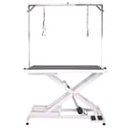Aeolus Low-Low Electric Lifting Table (Powered By Denmark Linak Actuator & Transformer) 124*66*20–102cm Grooming Supplies "BAE" Charm Bracelet 3