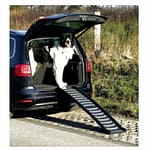 Trixie Folding Pet Ramp Model 39477 For Pets 39X160Cm Dogs Accessories "BAE" Charm Bracelet 4