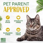 Tropi Clean Gentle Coconut Hypoallergenic Cat And Kitten Shampoo, 12oz Grooming Supplies "BAE" Charm Bracelet 6