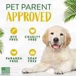 Tropi Clean Gentle Coconut Hypoallergenic Puppy And Kitten Shampoo, 12oz Grooming Supplies "BAE" Charm Bracelet 6