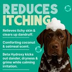 Tropi Clean Oatmeal & Tea Tree Medicated Itch Relief Shampoo For Pets, 20oz Grooming Supplies "BAE" Charm Bracelet 5