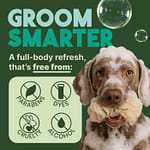 Tropi Clean Oatmeal & Tea Tree Medicated Itch Relief Shampoo For Pets, 20oz Grooming Supplies "BAE" Charm Bracelet 6
