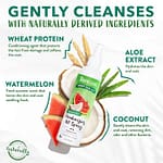 Tropi Clean Watermelon Deodorizing Pet Spray 236ml Grooming Supplies "BAE" Charm Bracelet 5
