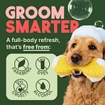 Tropi Clean Watermelon Refreshing 2-in-1 Pet Shampoo & Conditioner Grooming Supplies "BAE" Charm Bracelet 6