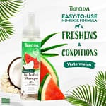 Tropi Clean Watermelon Waterless Shampoo, 7.4oz Grooming Supplies "BAE" Charm Bracelet 5