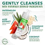 Tropi Clean Watermelon Waterless Shampoo, 7.4oz Grooming Supplies "BAE" Charm Bracelet 6