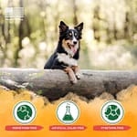 Tropiclean Flea & Tick 32z Home Spray Grooming Supplies "BAE" Charm Bracelet 6