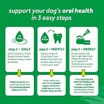 Tropiclean Fresh Breath Dental Health Solution For Dogs, 16oz Grooming Supplies "BAE" Charm Bracelet 4