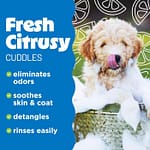 Tropiclean Lime & Cocoa Butter Shed Control Conditioner For Pets, 20oz Grooming Supplies "BAE" Charm Bracelet 5