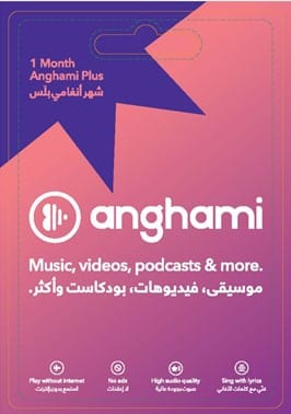 Anghami 1 month UAE (Instant E-mail Delivery) Anghami UAE "BAE" Charm Bracelet