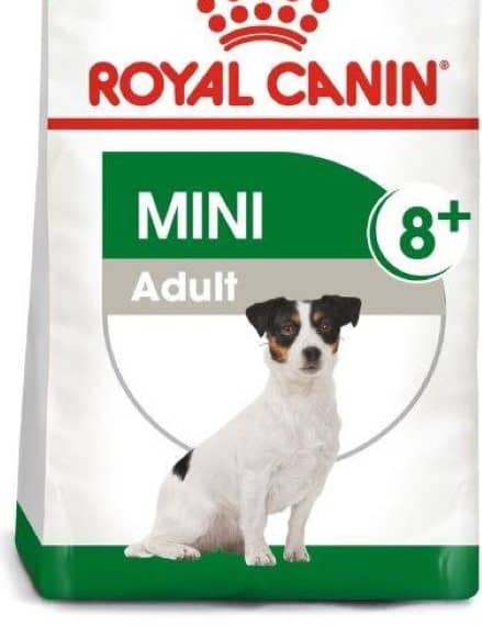 Royal Canine Size Health Nutrition Mini Adult 8+ 2 Kg Dog Food "BAE" Charm Bracelet