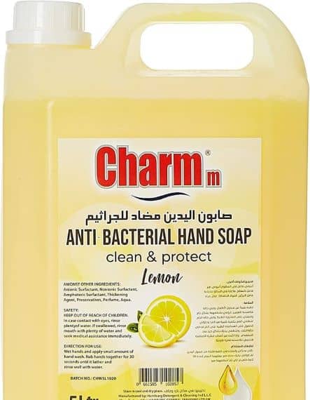 Charmm Antibacterial Hand Wash Lemon 5L Grocery "BAE" Charm Bracelet