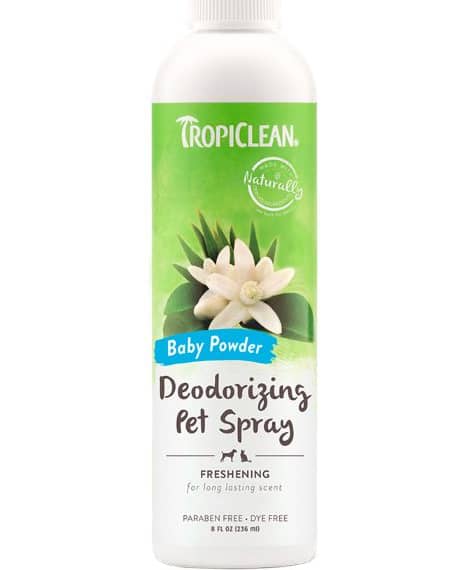 Tropi Clean Baby Powder Deodorizing Spray For Pets, 8oz Grooming Supplies "BAE" Charm Bracelet