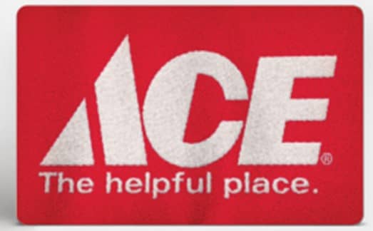 Ace Hardware $100 (Instant E-mail Delivery) Ace Hardware "BAE" Charm Bracelet