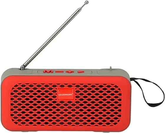 Olsenmark Portable Wireless Speaker-(Orange/Grey)-(OMMS1212) Bluetooth Speakers "BAE" Charm Bracelet