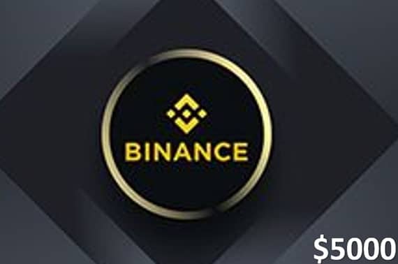 Binance Crypto Gift Card (USDT) $5000 – Email Delivery Crypto Voucher "BAE" Charm Bracelet
