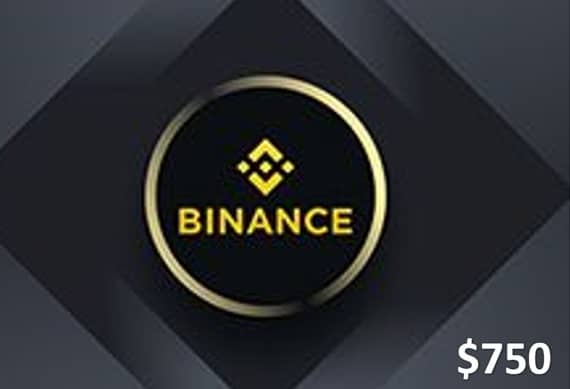 Binance Crypto Gift Card (USDT) $750 – Email Delivery Crypto Voucher "BAE" Charm Bracelet