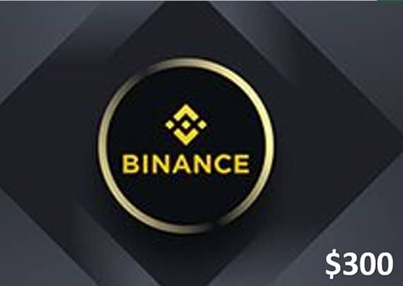 Binance Crypto Gift Card (USDT) $300 – Email Delivery Crypto Voucher "BAE" Charm Bracelet