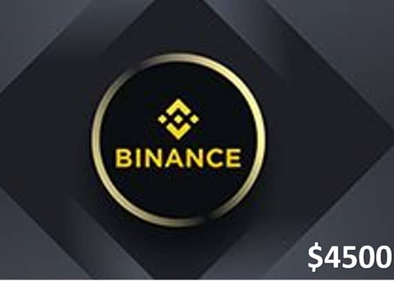 Binance Crypto Gift Card (USDT) $4500 – Email Delivery Crypto Voucher "BAE" Charm Bracelet