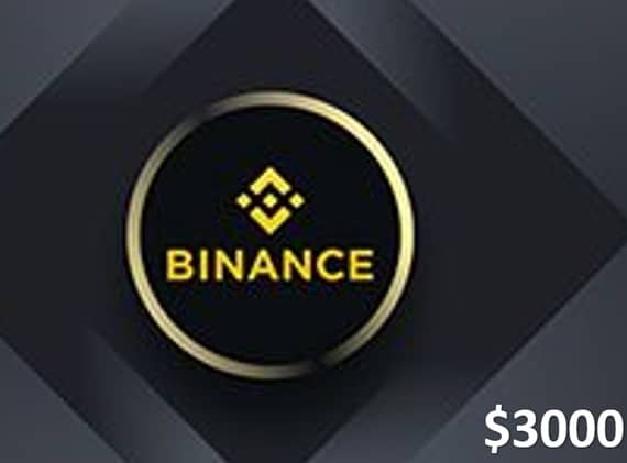 Binance Crypto Gift Card (USDT) $3000 – Email Delivery Crypto Voucher "BAE" Charm Bracelet