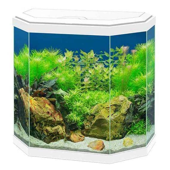 Ciano Aqua 30 Aquarium With White LED Light 40X20X40.2Cm Fish Accessories "BAE" Charm Bracelet