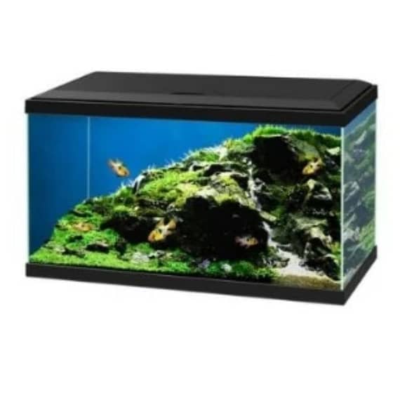 Ciano Aqua 60 Aquarium With Black Led Light 60X30X33.5Cm Fish Accessories "BAE" Charm Bracelet