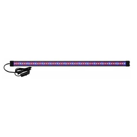 Ciano Digital Display Thermometer For Aquariums Fish Accessories "BAE" Charm Bracelet