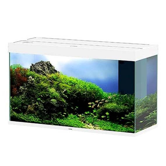 Ciano Emotions Nature Pro 80 White Aquarium 81.2×40.2x56cm Fish Accessories "BAE" Charm Bracelet