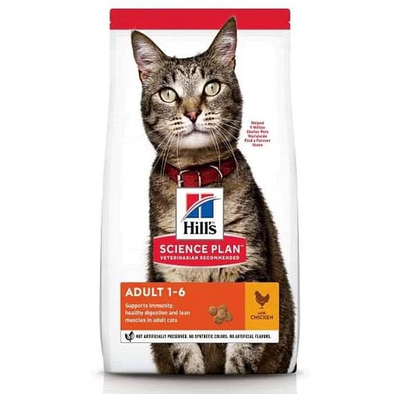 Hill'S Science Plan Chicken Adult Dry Cat Food – 3Kg Cat Food "BAE" Charm Bracelet