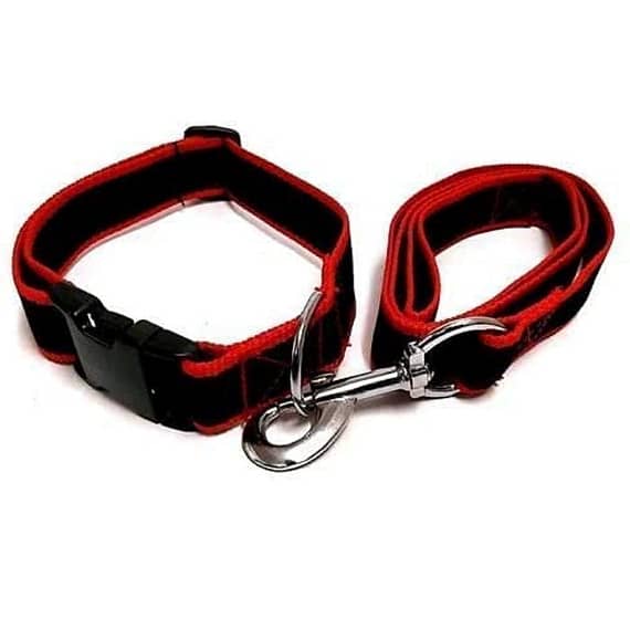 Leash Blue W/ Red & Yellow Paws Collars & Harnesses "BAE" Charm Bracelet