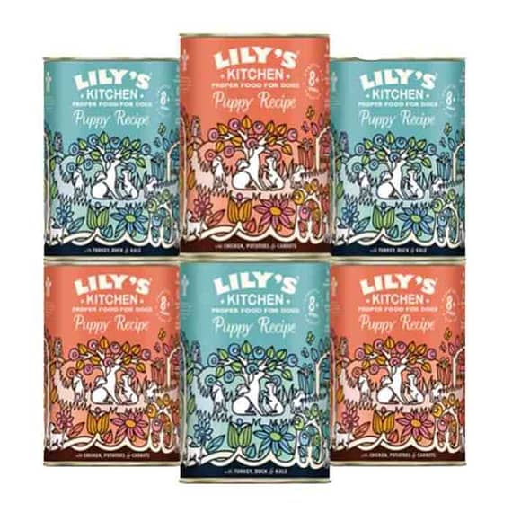 Lily's Kitchen Dog Puppy Wet Food Multipack – 6X400G Dog Food "BAE" Charm Bracelet