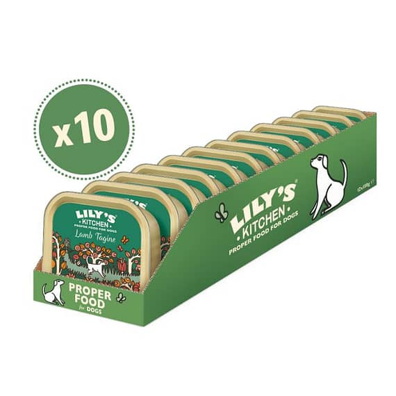 Lily's Kitchen Dog Tagine Wet Food Box 10X150G Dog Food "BAE" Charm Bracelet