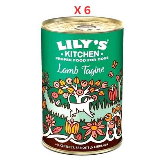 Lily's Kitchen Dog Tagine Wet Food Box 6X400G Dog Food "BAE" Charm Bracelet