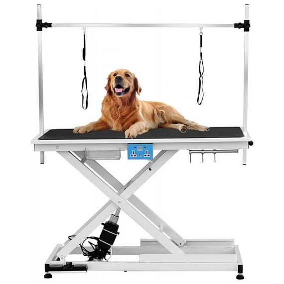 Pawsitiv Adjustable Grooming Table Electric Grooming Supplies "BAE" Charm Bracelet