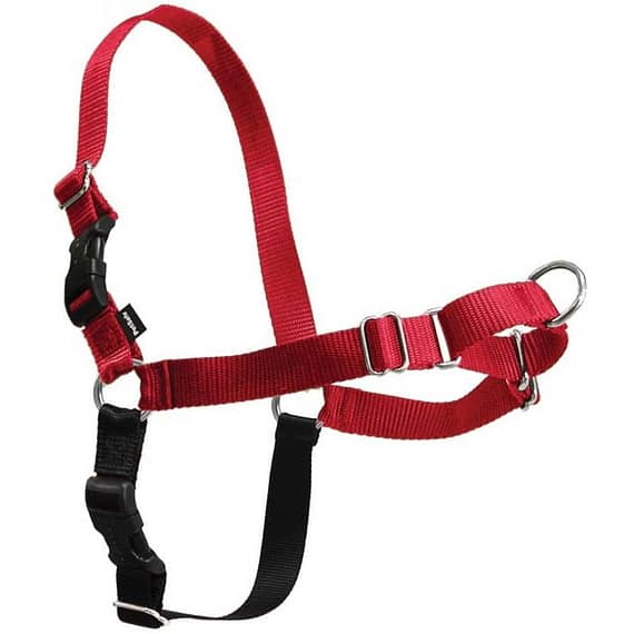 Petsafe Easy Walk Harness Extra Large Red Rohs Collars & Harnesses "BAE" Charm Bracelet