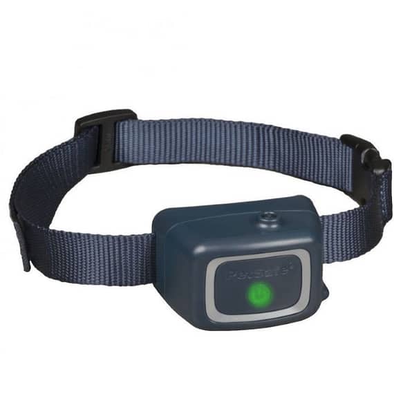 Petstages Spray Bark Dog Training Collar 2019 Model Collars & Harnesses "BAE" Charm Bracelet