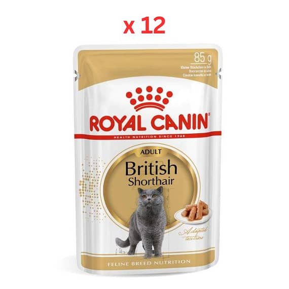 Royal Canin Feline Breed Nutrition British Shorthair (WET FOOD – Pouche) (Pack Of 12) Cat Food "BAE" Charm Bracelet