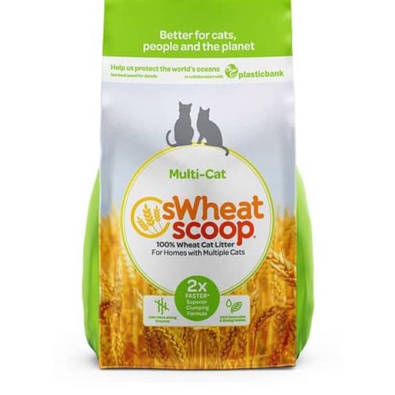 SWheat Scoop Multi-Cat Superior Clumping Wheat Cat Litter Litter & Housetraining "BAE" Charm Bracelet