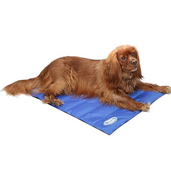 Scruffs Cool Dog Mat Medium Beds & Cushions "BAE" Charm Bracelet