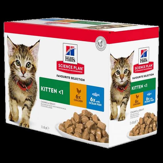 Sp Kitten Multipack (Chicken, Ocean Fish) Pouch – 85G Cat Food "BAE" Charm Bracelet