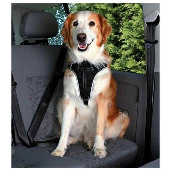 Trixie Dog Protect Car Harness Large Collars & Harnesses "BAE" Charm Bracelet