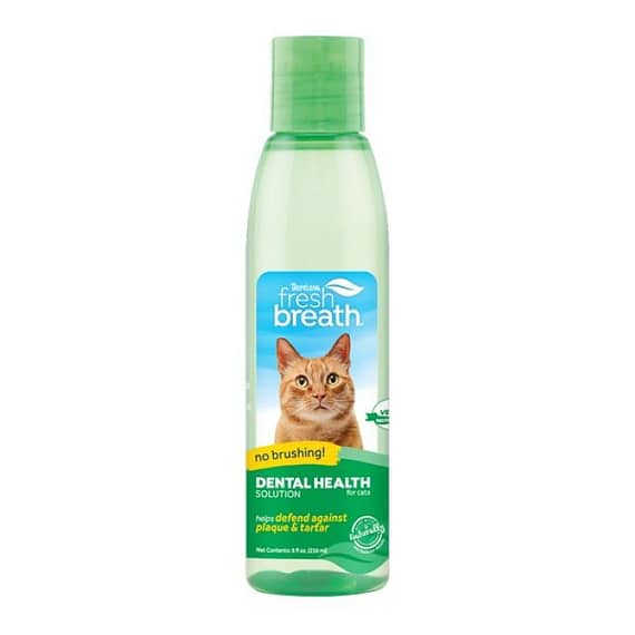 Tropiclean Fresh Breath Dental Health Solution For Cats, 8oz Grooming Supplies "BAE" Charm Bracelet