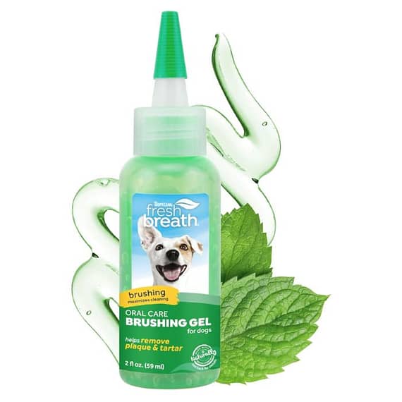 Tropiclean Fresh Breath Dental & Oral Care Brushing Gel For Dogs, 2oz Grooming Supplies "BAE" Charm Bracelet